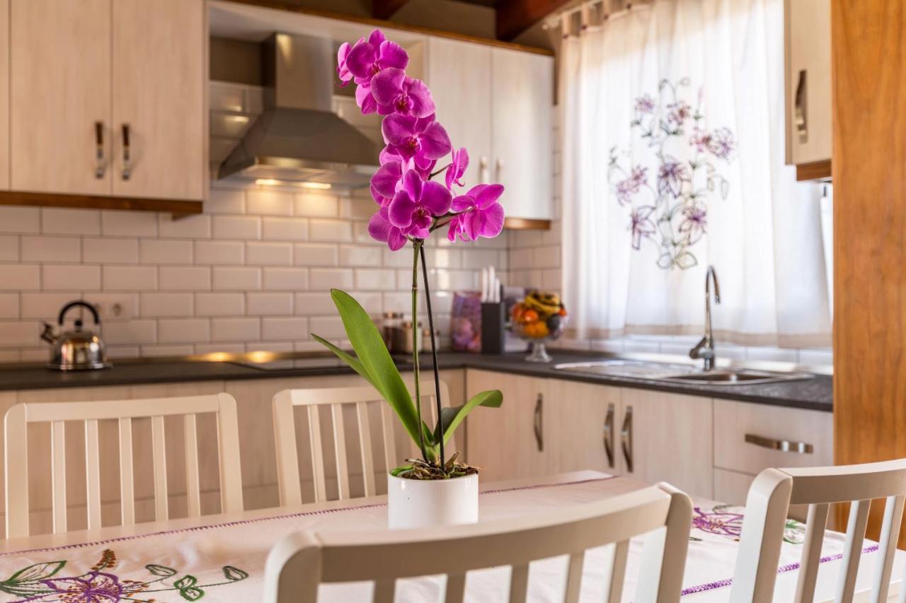 Casa Quintana - Apartamento Carla Тихарафе Экстерьер фото